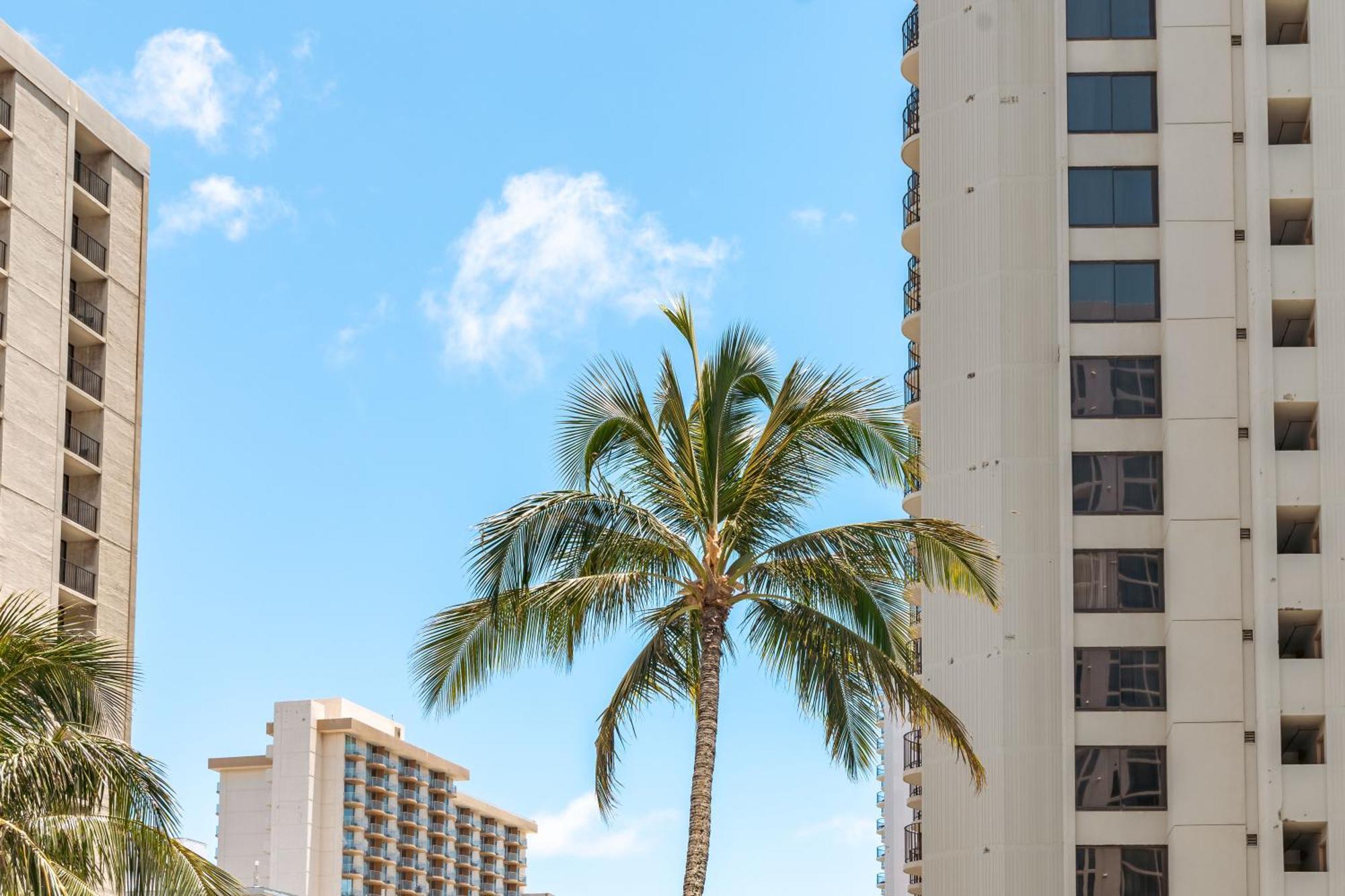 Ocean & Diamond Head Views - Near Beach - Parking! Honolulu Exterior photo